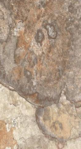 PaB - Carrelage intrieur rectifi beige