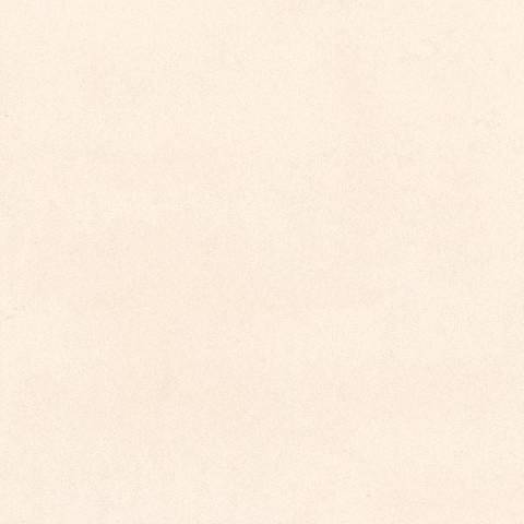 Ta - Carrelage intrieur rectifi ivory 