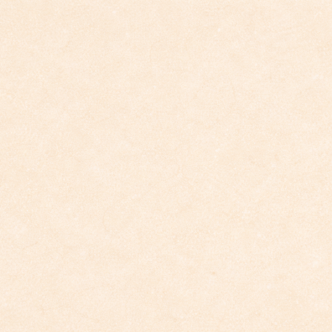 Bi - Carrelage ext�rieur c�ramique effet pierre beige