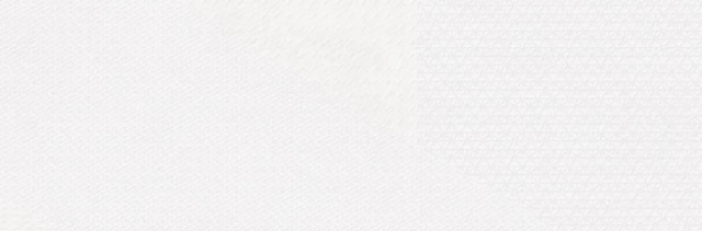 Eia - Fa�ence p�te blanche int�rieur rectifi� mosaic white